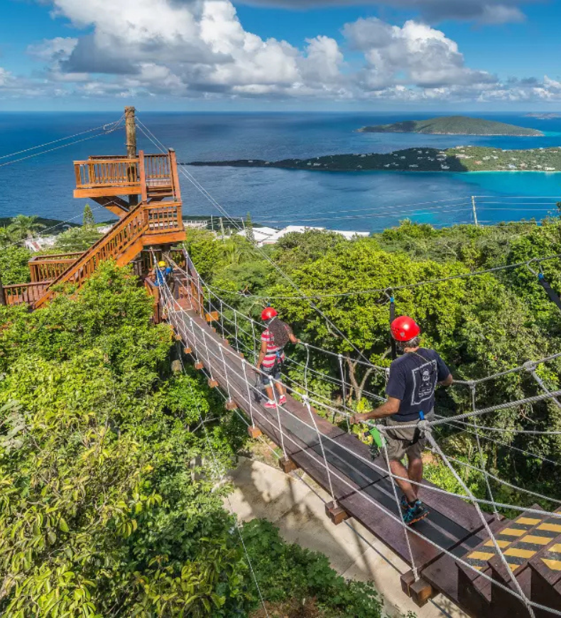 Guests crossing a suspension bridge with island views during an adventure excursion